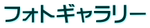 フォトギャラリー